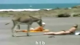 Kadın bedava lezbiyen filmleri