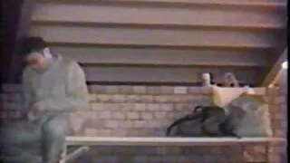 WEBCAM: seksfilmi bedava Tavşan kulakları blowjob