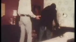 Seksi Fince