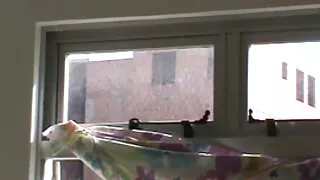Asyalı ücretsiz porno seks filmleri kız arkadaşı ve